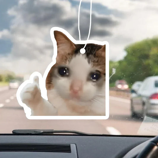Katt